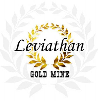 Mine Mugshot: Leviathan Mine