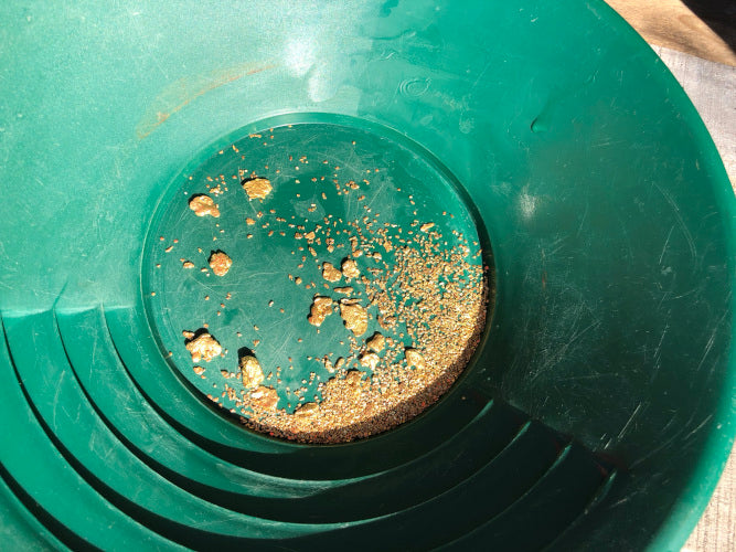 Bonanza Case Special