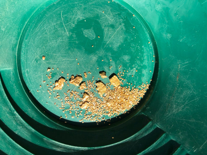 Motherlode Case Special